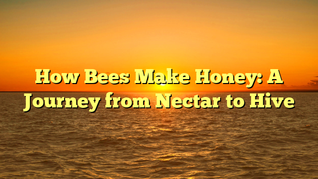 How Bees Make Honey: A Journey from Nectar to Hive